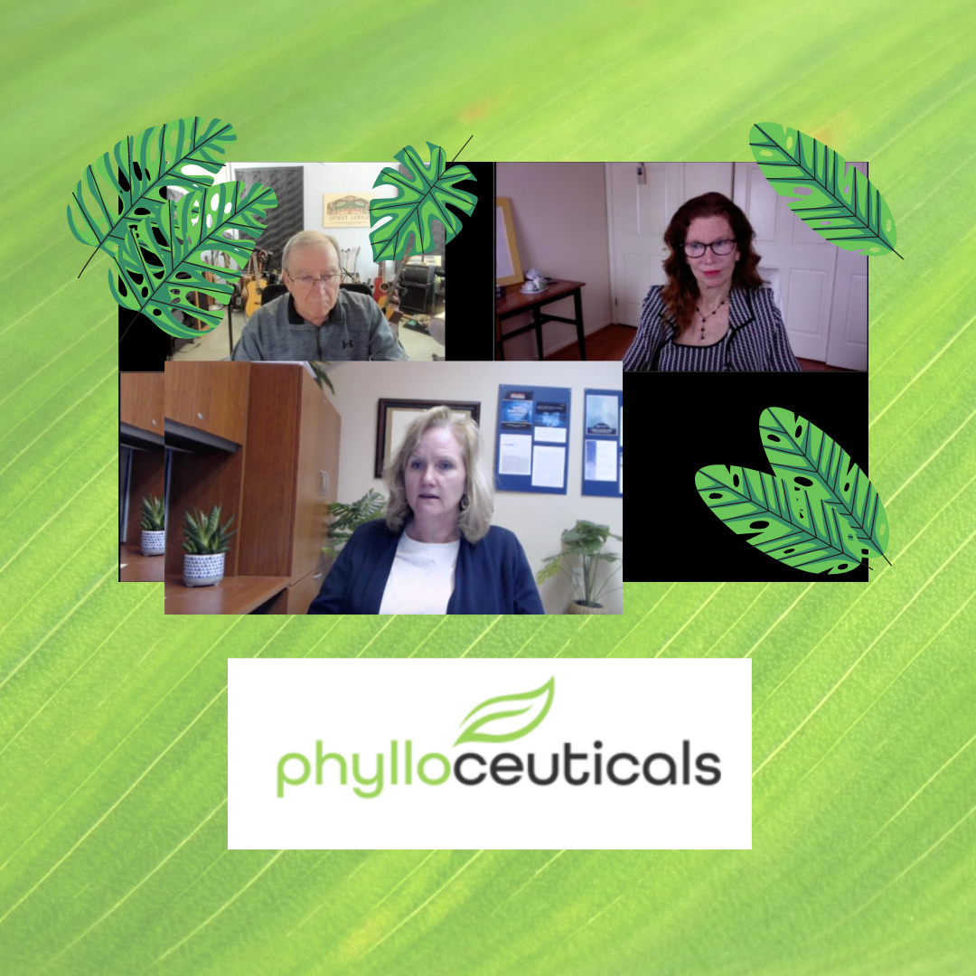 Phylloceuticals Colorful